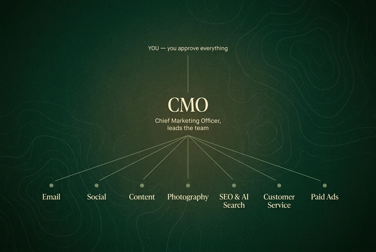 How your department is led: you approve everything at the top; a CMO (Chief Marketing Officer) leads the team; the CMO directs the specialists for email, social, content, photography, SEO and AI search, customer service and paid ads
